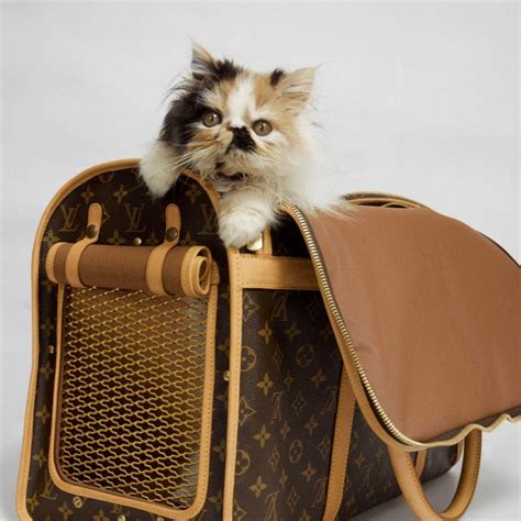 lv dog collection|For Pets Collection for New .